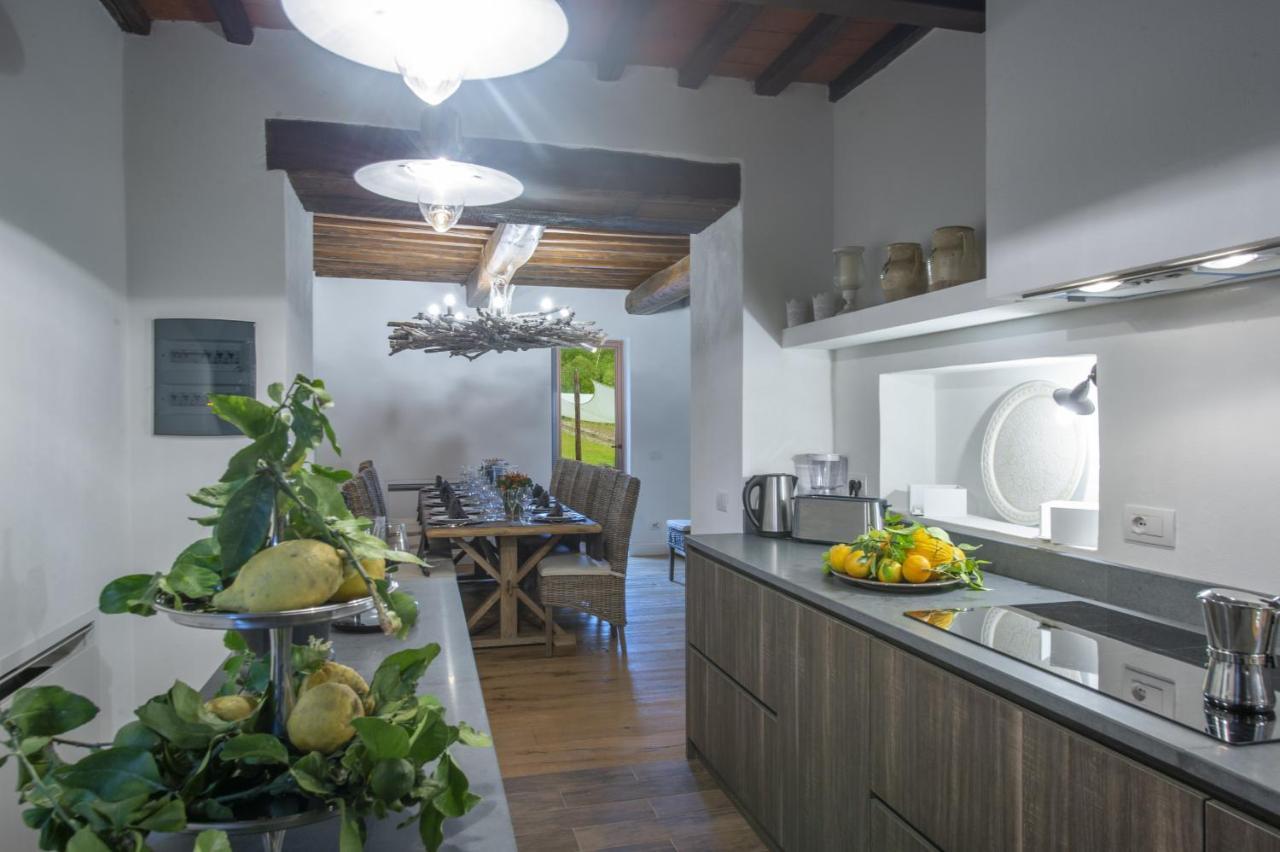 Villa Il Vigneto - Homelike Villas Panzano in Chianti Exteriér fotografie